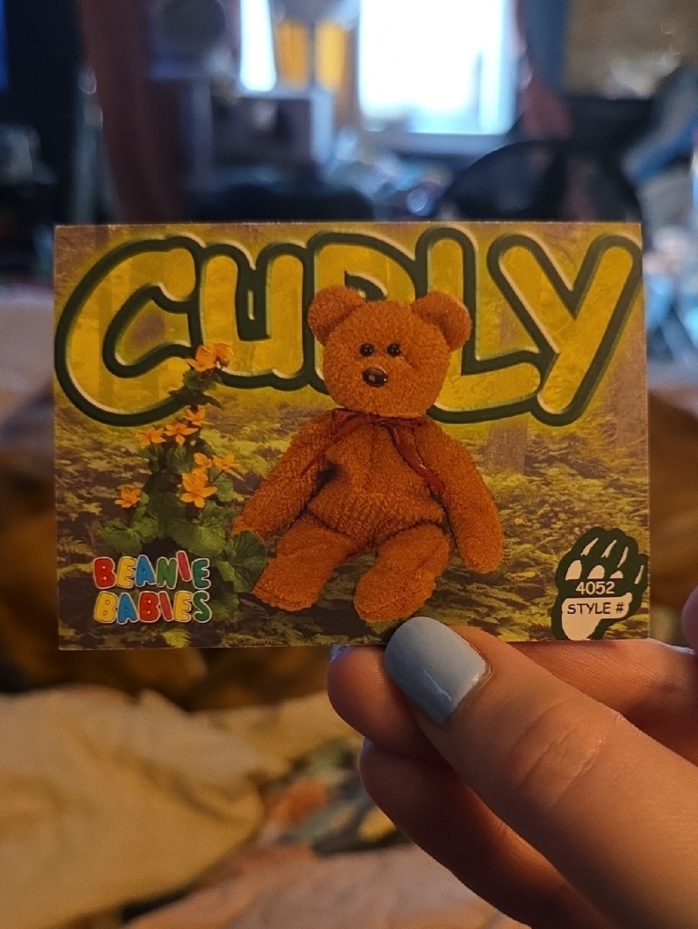 Ty Curly Beanie Baby Bear Collectible Card - Brown